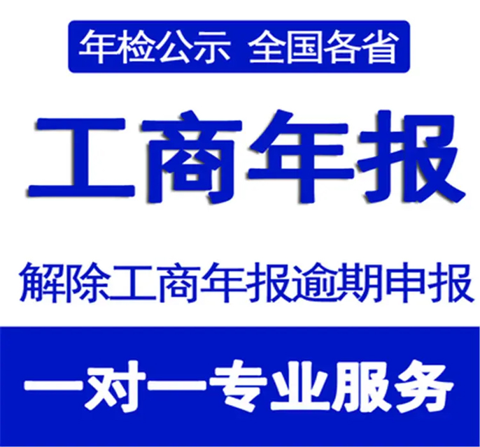 工商年报