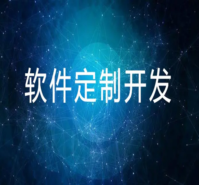 软件定制